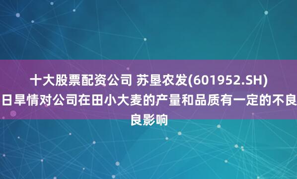 十大股票配资公司 苏垦农发(601952.SH)：近日旱情对公司在田小大麦的产量和品质有一定的不良影响